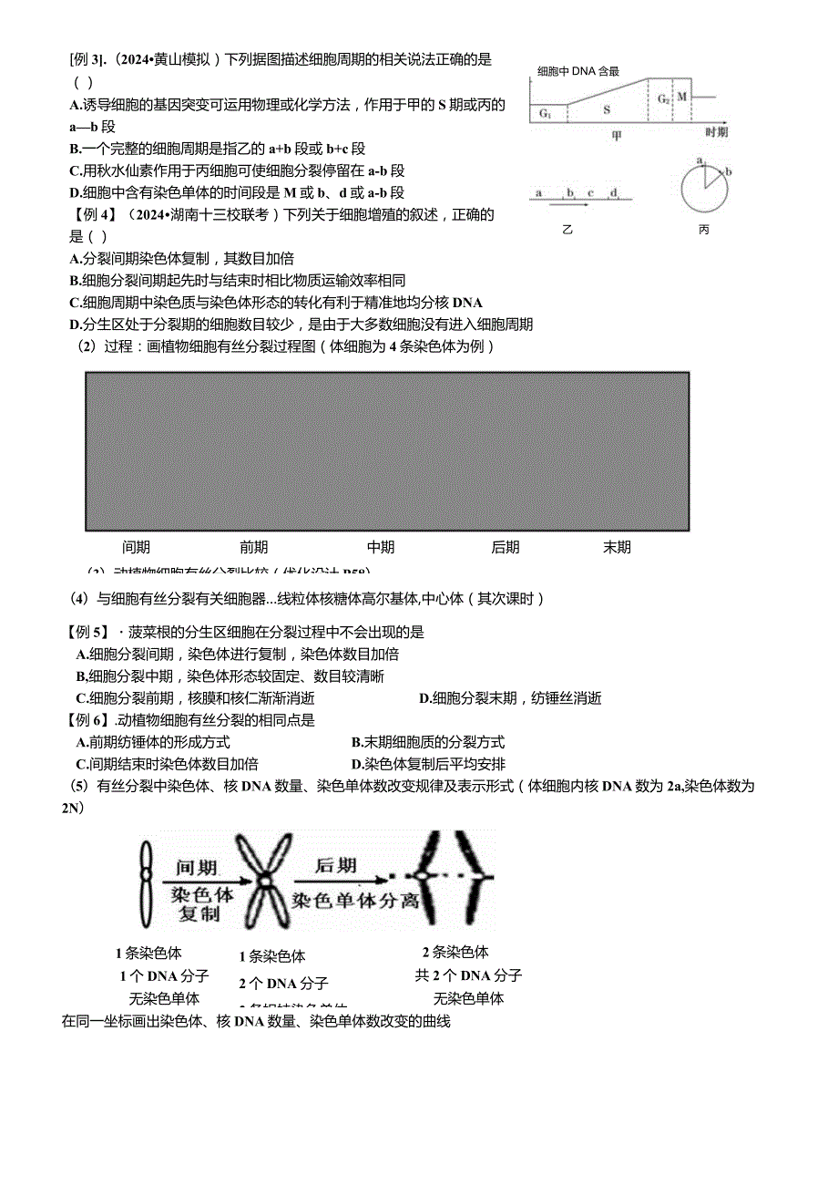 2024届细胞分裂一轮复习学案含答案.docx_第2页