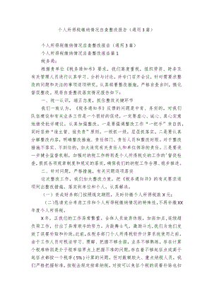 个人所得税缴纳情况自查整改报告（通用3篇）.docx