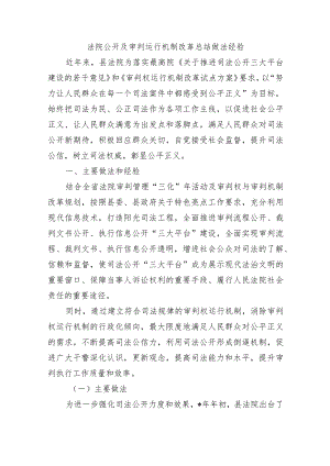 法院公开及审判运行机制改革总结做法经验.docx