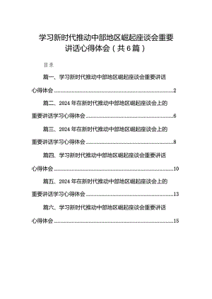 学习新时代推动中部地区崛起座谈会重要讲话心得体会【六篇精选】供参考.docx