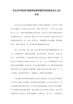 在生态环境保护督察典型案例整改现场推进会议上的讲话.docx