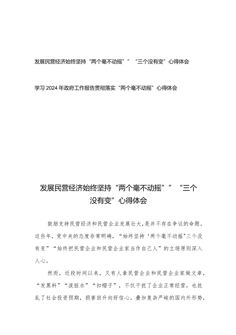 发展民营经济始终坚持“两个毫不动摇””“三个没有变”心得体会和学习2024年政府工作报告贯彻落实“两个毫不动摇”心得体会.docx_第1页