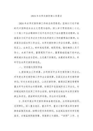 2024年水旱灾害防御工作要点.docx