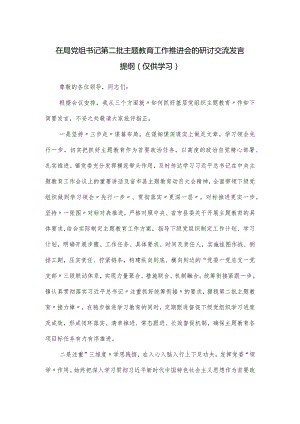 在局党组书记第二批主题教育工作推进会的研讨交流发言提纲.docx