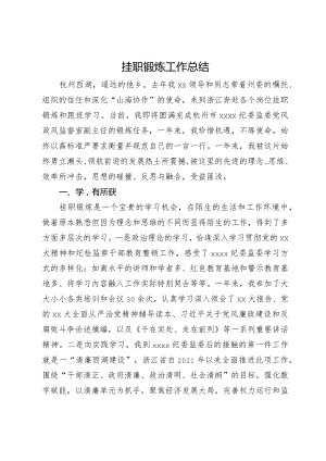 纪委监委党风政风监督室副主任挂职锻炼工作总结.docx