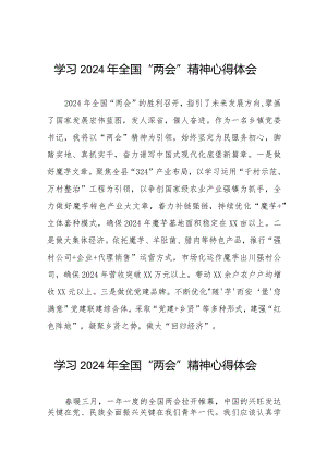 镇书记学习2024年全国“两会”精神心得体会33篇.docx