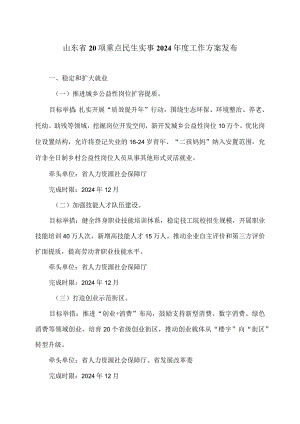 山东省20项重点民生实事2024年度工作方案发布（2024年）.docx