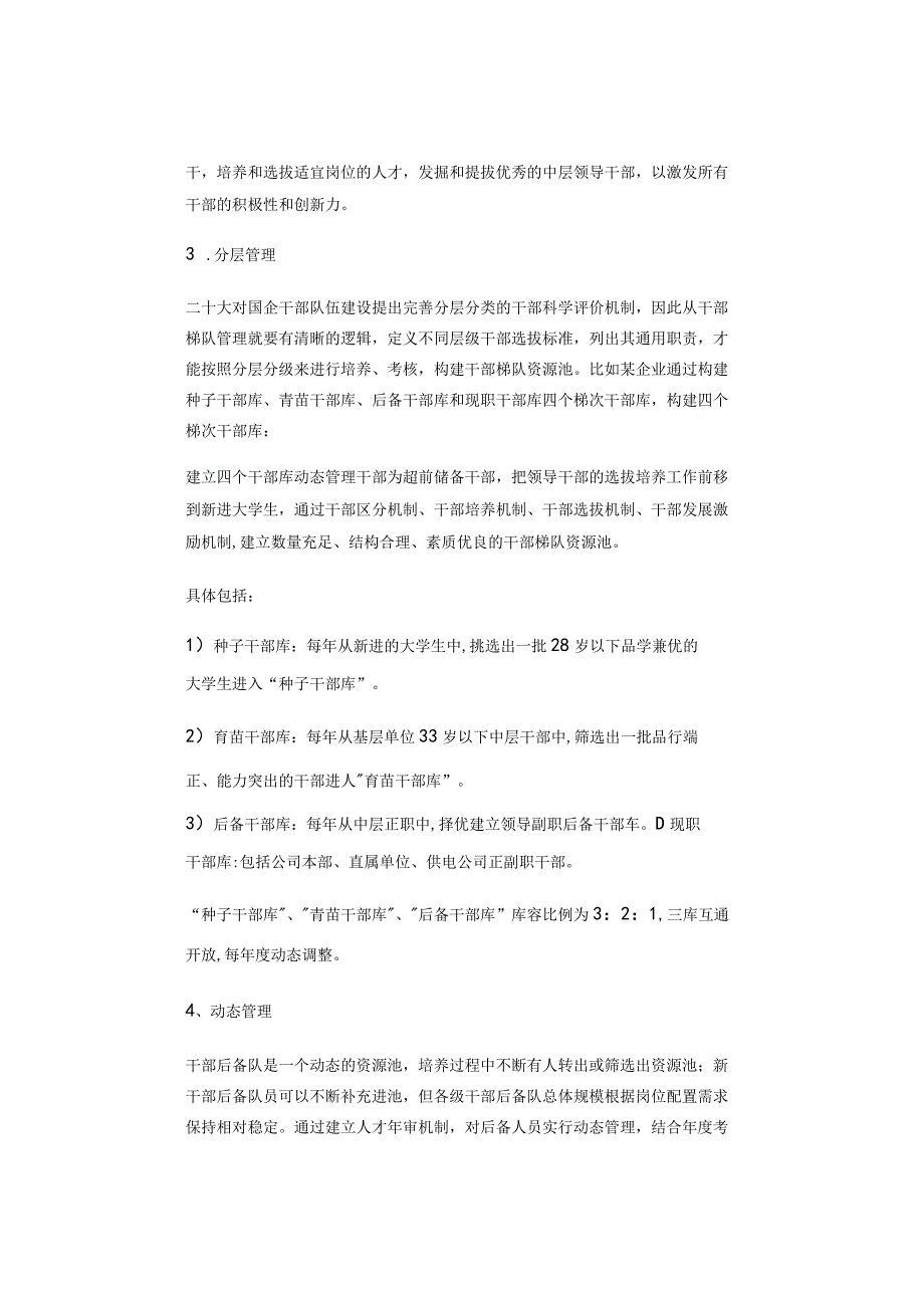 国企如何高效打造高素质干部人才梯队？.docx_第3页