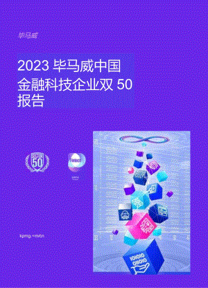 2023毕马威中国金融科技双50报告-毕马威-2024.docx