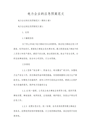 电力企业的应急预案范文.docx