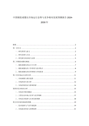 中国凝胶成像仪市场运行态势与竞争格局发展预测报告2024-2030年.docx