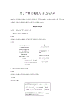 2023-2024学年人教版必修二基因表达与性状的关系学案.docx