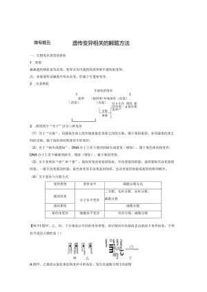 2023-2024学年人教版必修二微专题五遗传变异相关的解题方法学案.docx