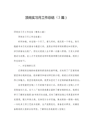 顶岗实习月工作总结（3篇）.docx