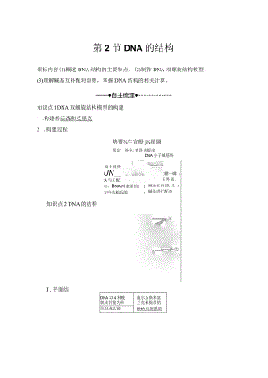 2023-2024学年人教版必修二DNA的结构学案.docx