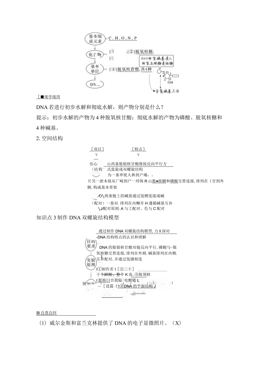 2023-2024学年人教版必修二DNA的结构学案.docx_第2页