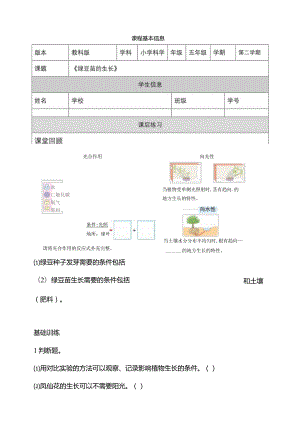 1-3《绿豆苗的生长》课后练习教科版科学五年级下册.docx