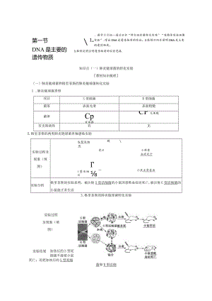 2023-2024学年苏教版必修二DNA是主要遗传物质学案.docx