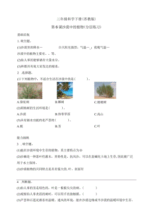 三年级科学下册（苏教版）2-6沙漠中的植物（含答案）.docx