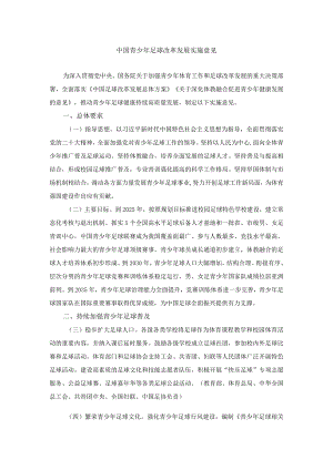 中国青少年足球改革发展实施意见.docx