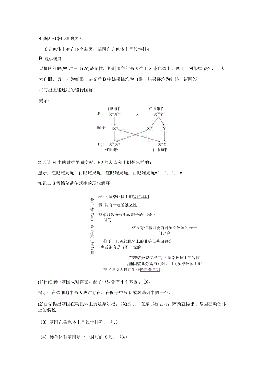 2023-2024学年人教版必修二基因在染色体上学案.docx_第3页