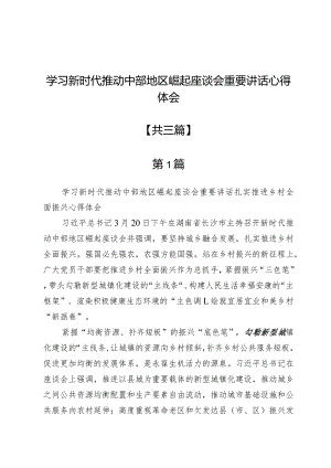 学习新时代推动中部地区崛起座谈会重要讲话心得体会3篇.docx