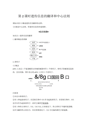 2023-2024学年人教版必修二遗传信息的翻译和中心法则学案.docx