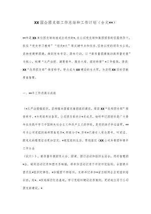 XX国企团支部工作总结和工作计划（全文3152字）.docx