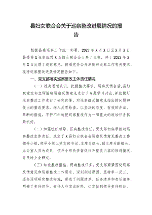 县妇女联合会关于巡察整改进展情况的报告.docx