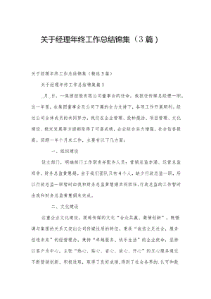 关于经理年终工作总结锦集（3篇）.docx