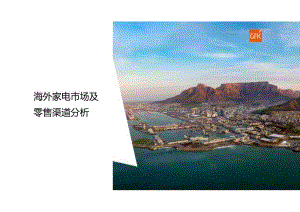 海外家电市场及零售渠道分析2024.docx