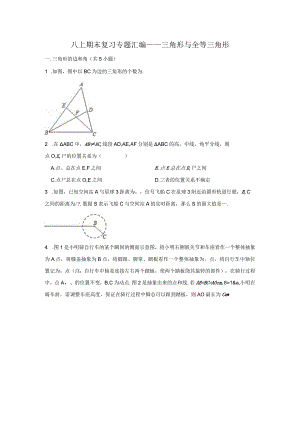 八上期末复习专题汇编——三角形与全等三角形.docx