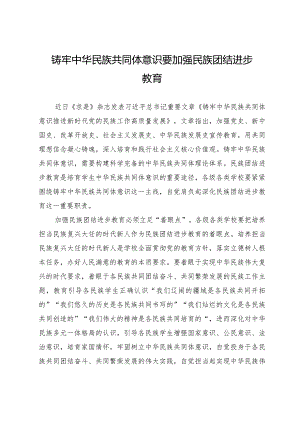 铸牢中华民族共同体意识要加强民族团结进步教育.docx