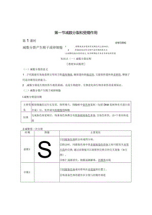 2023-2024学年苏教版必修二减数分裂产生精子或卵细胞学案.docx