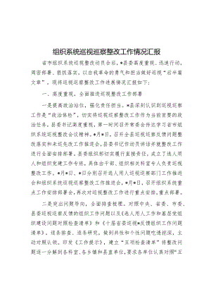 组织系统巡视巡察整改工作情况汇报&南非如何进行国家公园开发和保护.docx