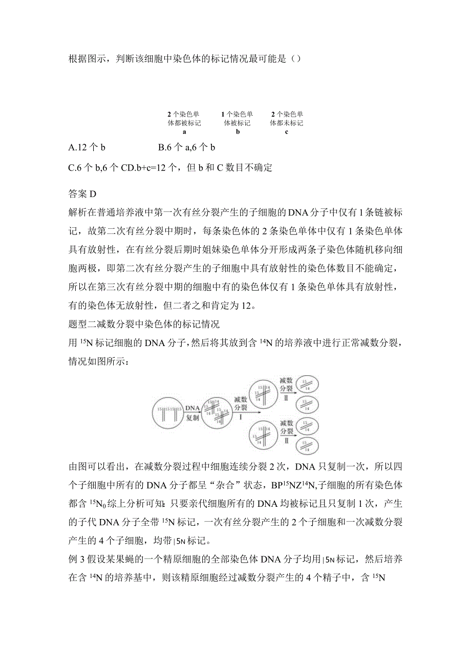 2023-2024学年人教版必修二微专题4DNA复制与细胞中的染色体标记问题学案.docx_第3页