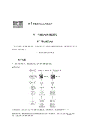 2023-2024学年人教版必修二基因突变学案.docx