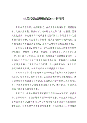 学思践悟新思想砥砺奋进新征程.docx