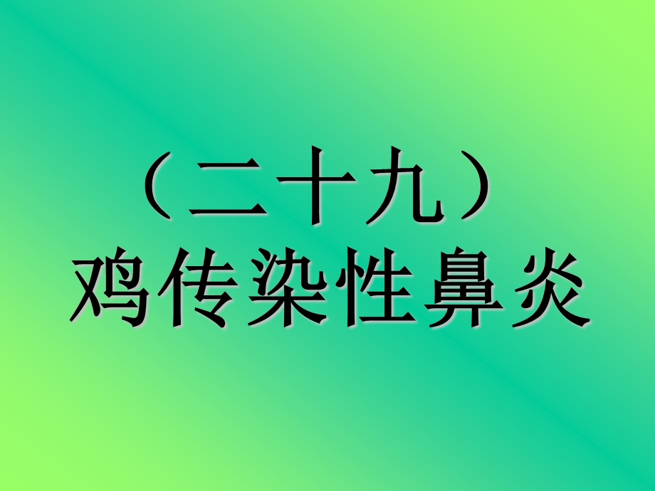 29传染性鼻炎.ppt_第1页