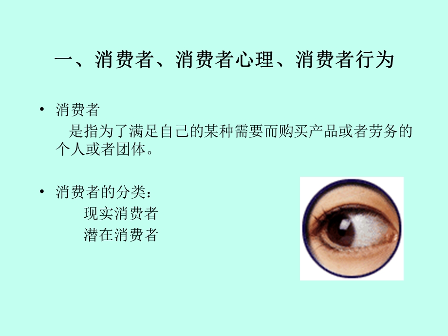 消费者心理与行为.ppt_第2页