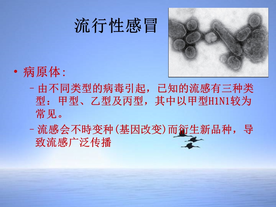 预防流感.ppt_第3页