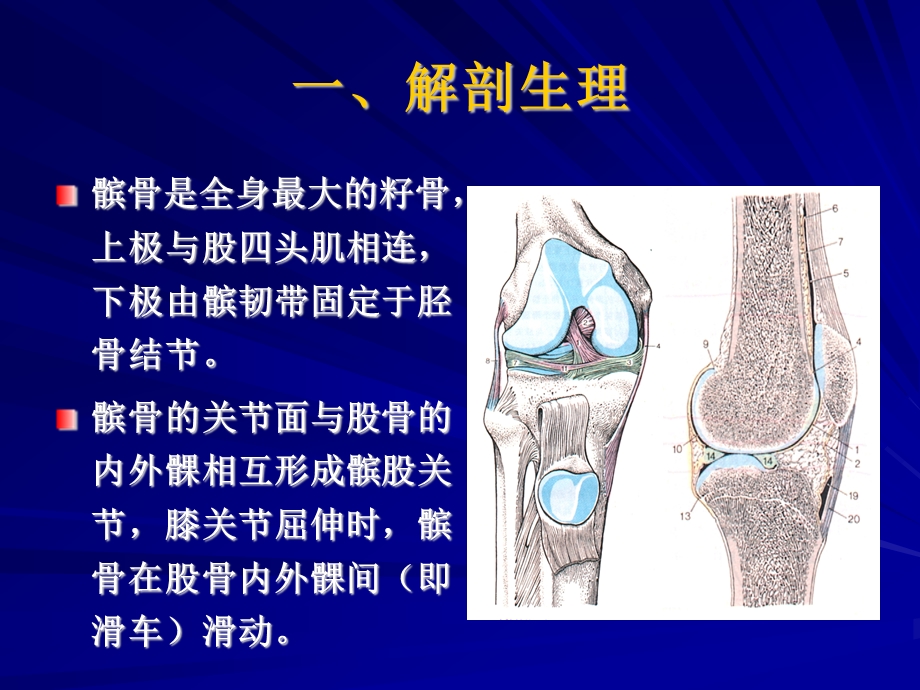 髌骨软化症的诊断及治疗.ppt_第2页