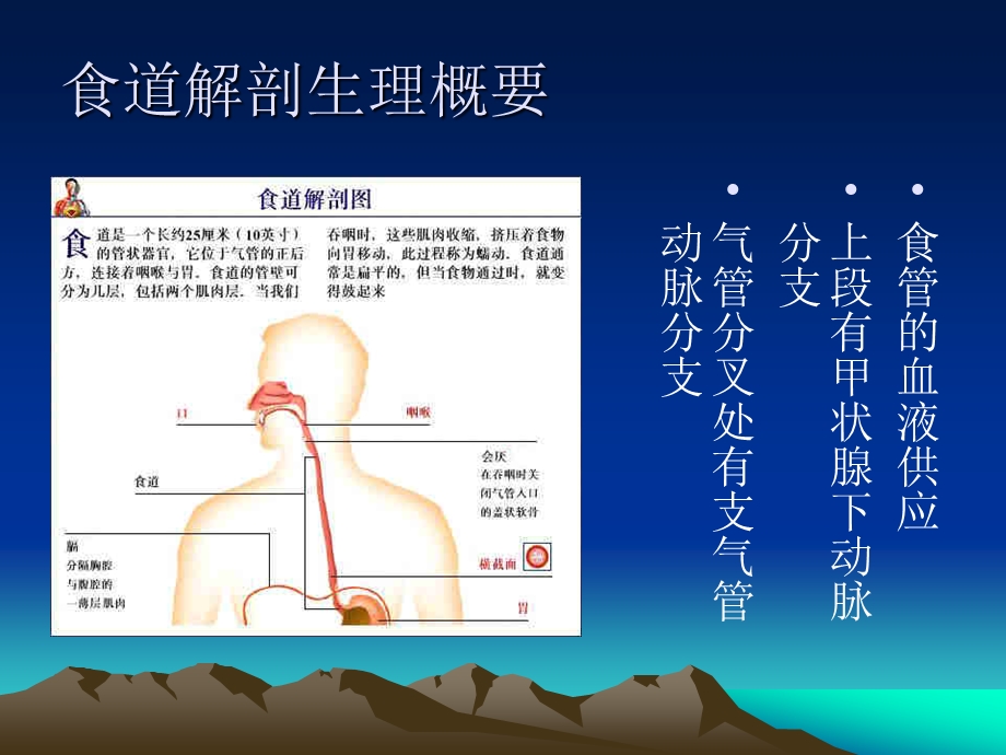 食管癌护理2.ppt_第3页