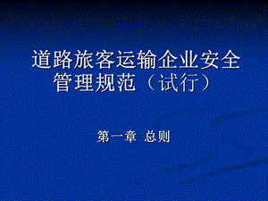 道路旅客运输企业安全生产评估要点.ppt