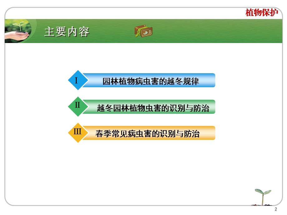 道路绿地病虫害识别与防治.ppt_第2页