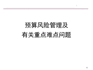 预算风险管理.ppt