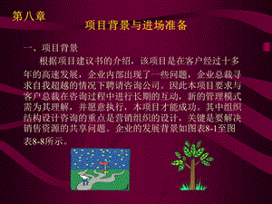 项目背景与进场（组织结构设计）.ppt