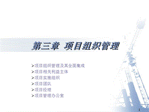 项目型组织结构.ppt