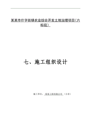 六标十字街农业综合开发土地治理项目施工组织设计.doc