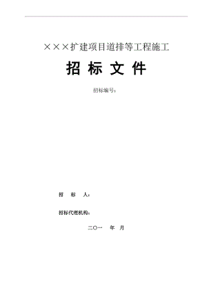 ×××扩建项目道排等工程施工招标文件1.doc